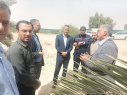 تعامل و تعاون دانشگاه جهرم و مزرعه فدک تحت تولیت آستان مقدس حسینی علیه السلام