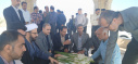 سرپرست دانشگاه جهرم دکتر محمد قناعتیان جبذری با حضور بر مزار شهید گمنام و ادای احترام به شهیدان از واحدهای مختلف دانشگاه دیدار کرد