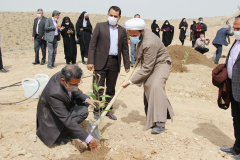 در آیین روز درختکاری، بیش از ۲۰۰ اصله نهال در جوار مقبره شهید گمنام دانشگاه جهرم کاشته شد